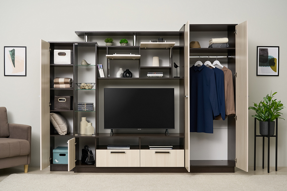 Гостиная Вега