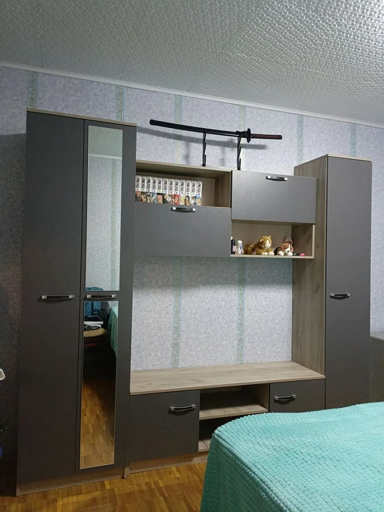 Гостиная Герда дуб крафт серый / серый графит