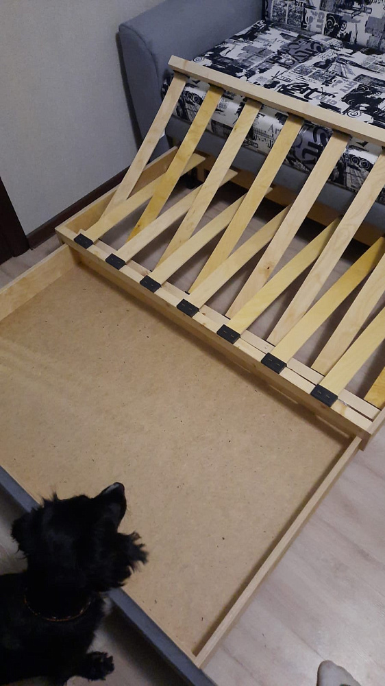 Диван выкатной Вена серый / принт Сити