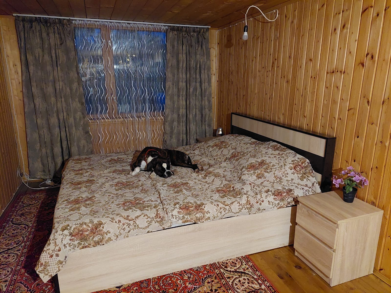 Тумба прикроватная Кастор 2 ящика дуб сонома