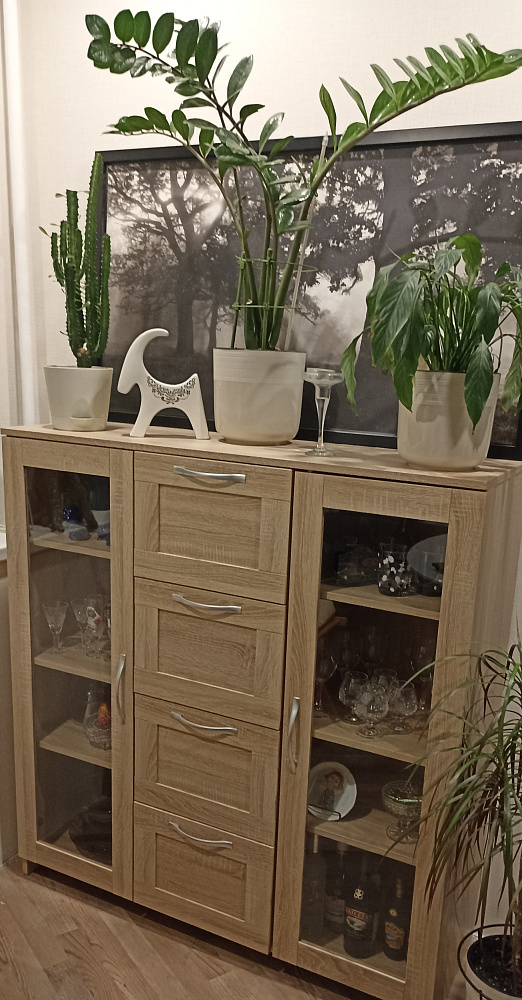 Шкаф-витрина Сириус 4 ящика дуб венге