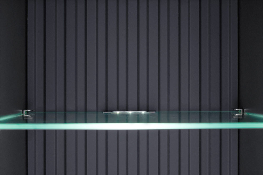 Витрина Оливия графит / графит софт