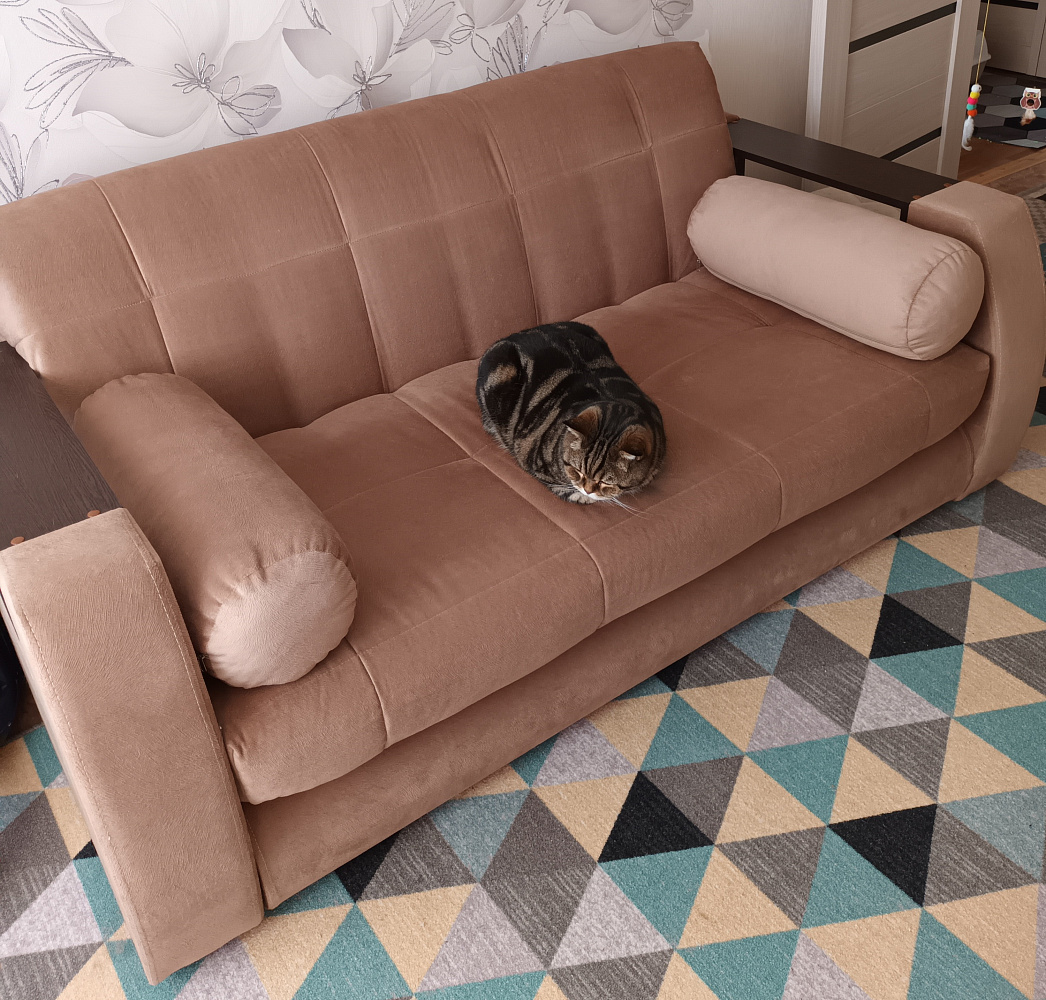 Диван аккордеон Барон №3 розовый