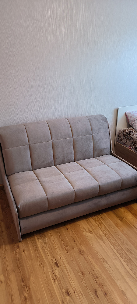 Диван аккордеон Барон №2 розовый