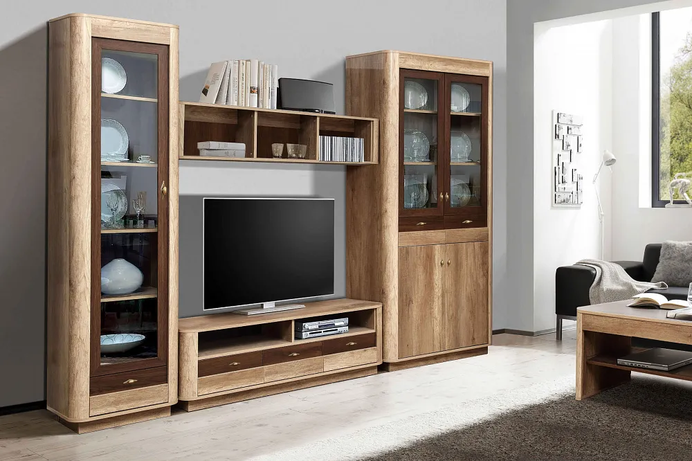 Гостиная Фантазия №3 дуб каньон / дуб кальяри арт. 08-25295 купить в Санкт-Петербурге по цене 47 990 руб. | НОНТОН